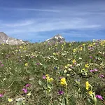 Apartment Haus Alpenrose *