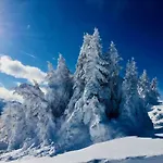 Haus Alpenrose * Trins