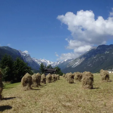 Haus Alpenrose * Trins