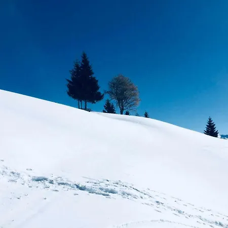 Haus Alpenrose Daire *