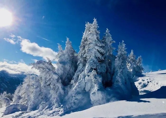 Haus Alpenrose * Trins