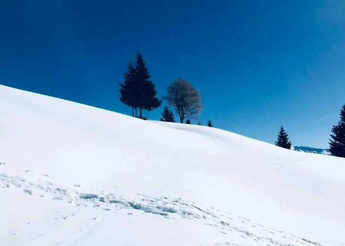 Haus Alpenrose דירה *