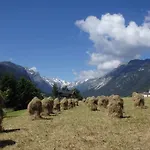 Haus Alpenrose * Тринс