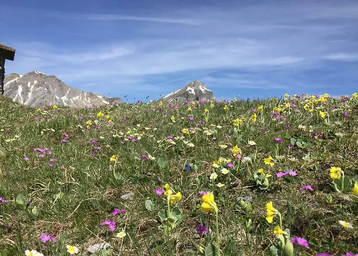 Apartment Haus Alpenrose *