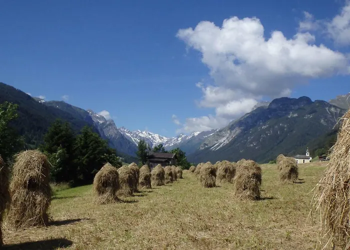 Haus Alpenrose * Trins