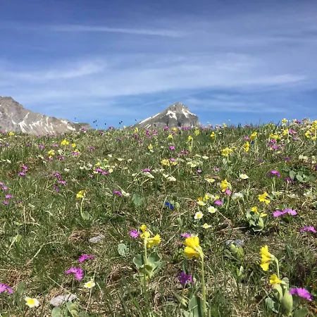 Διαμέρισμα Haus Alpenrose *