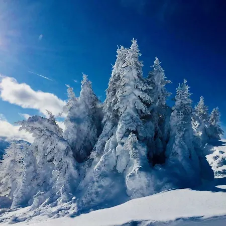 Haus Alpenrose * Trins